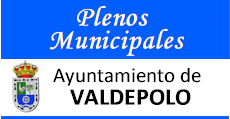 Plelnos municipales